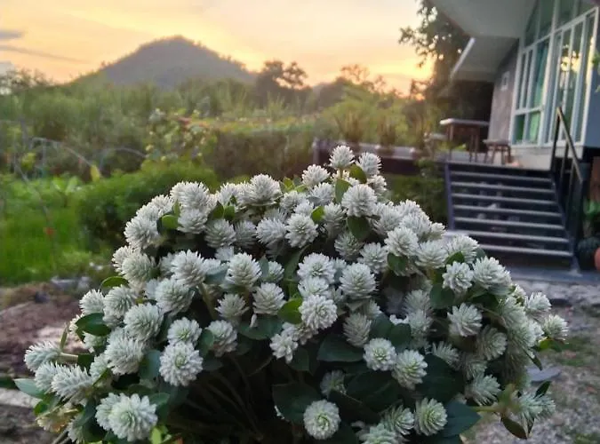 Royal Mountain View วันหยุดที่บ้าน